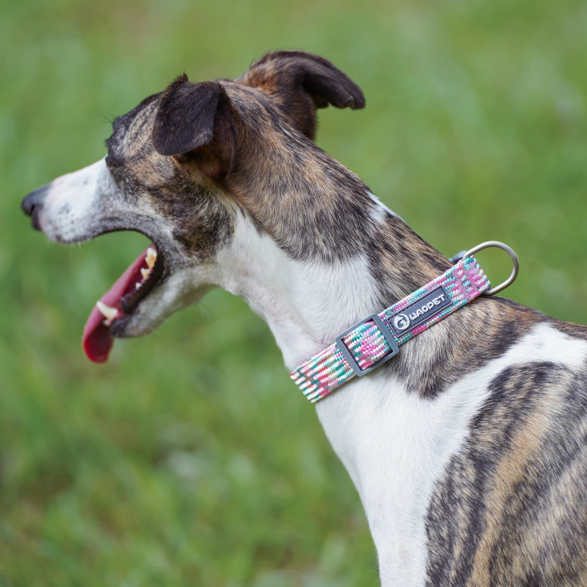 Waopet - Reflecterende Multicolor Halsband